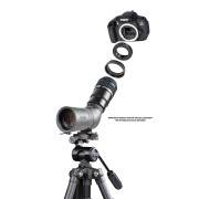 tit.-luneta-50ed_ed1.jpg