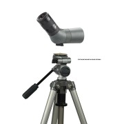 tit.-luneta-50ed_ed2.jpg
